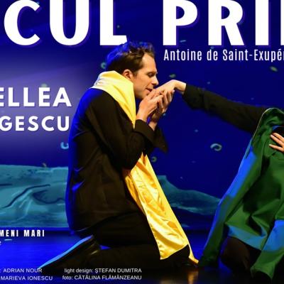 Micul Prinț, Dragi Părinți și Brastalico Fabadulu – spectacole în București, Timișoara, Craiova și Târgoviște