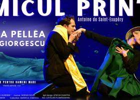 Micul Prinț, Dragi Părinți și Brastalico Fabadulu – spectacole în București, Timișoara, Craiova și Târgoviște