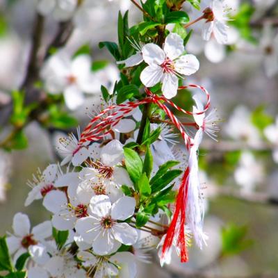 Horoscopul Martisorului: Ce talisman de primavara iti poarta noroc?