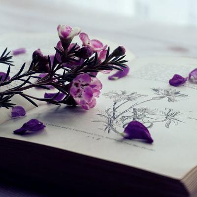 Nichita Stănescu - Poetul necuvintelor și al iubirii în literatura română