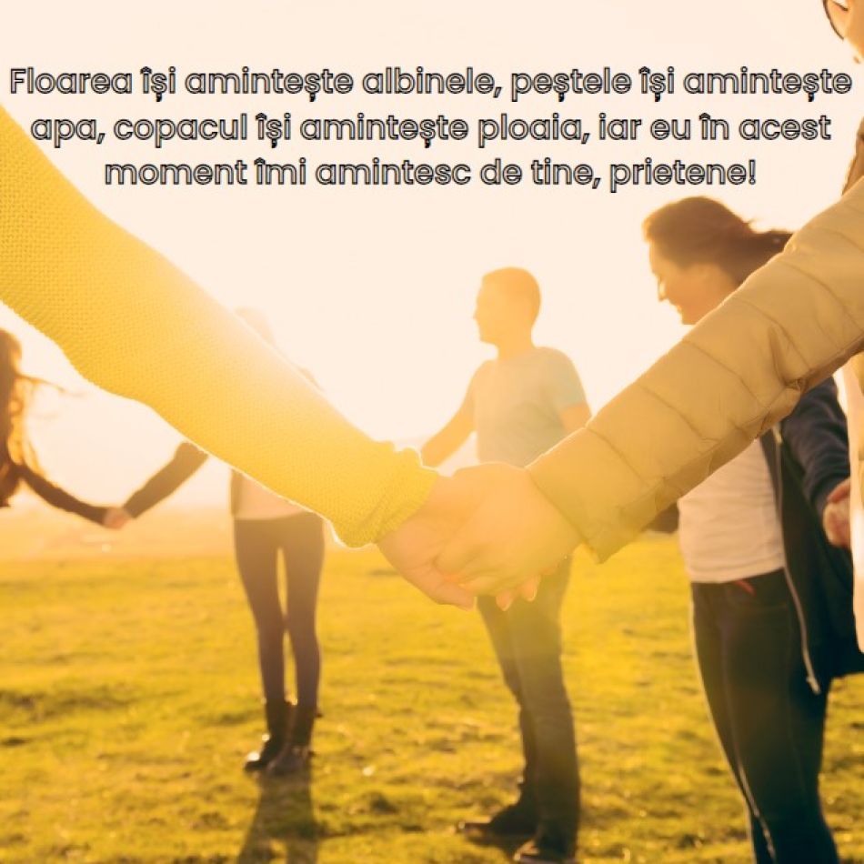 Mesaje unice pentru prietenii de suflet. Trimite-le oamenilor dragi ție o declarație de apreciere și recunoștință 