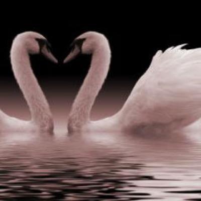 Poveste de dragoste cu inceput si sfarsit
