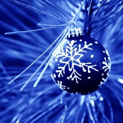 In AFI Palace Cotroceni brazii de Craciun sunt MEGA FASHION!