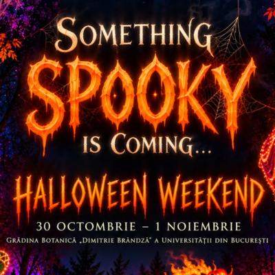 Lumina Park îmbracă un nou costum de Halloween