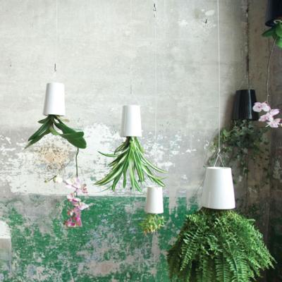 Ghivecele care sfideaza gravitatia: decoreaza cu Sky Planters! 