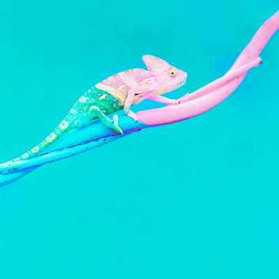 Cincisprezece citate celebre care te vor ajuta să îmbrățișezi schimbarea