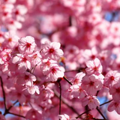 Cele 10 Lectii psihologice ale umanului pe care trebuie sa le accepti