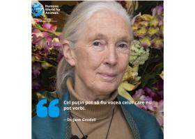 Cine a fost Jane Goodall, un erou pentru animale