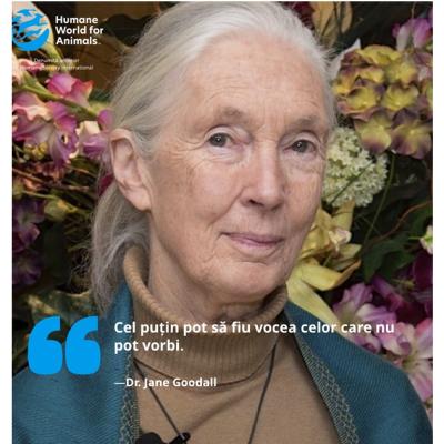 Cine a fost Jane Goodall, un erou pentru animale 