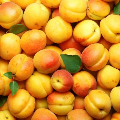 Beneficiile consumului de caise. Cat de bune sunt pentru organism?