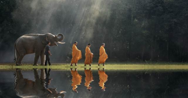  Cea mai frumoasa lectie de viata budista