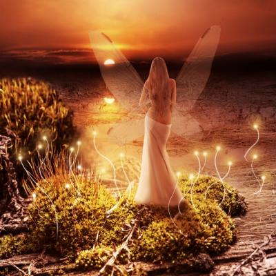 Astrologie: Horoscopul zanelor