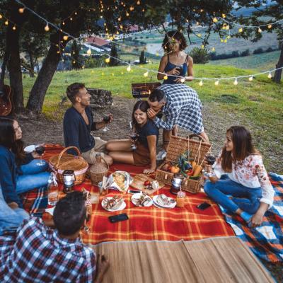 Platouri reci pentru o pauză reușită de picnic