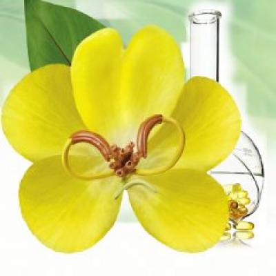 Cassia - geneza unei inovatii