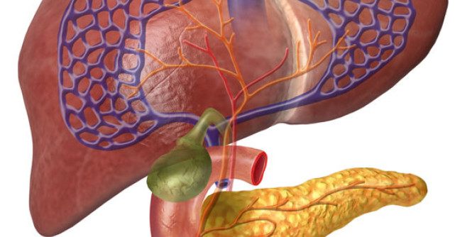 REGENEREAZA ficatul si DETOXIFICA: 5 Remedii naturiste