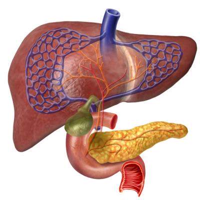 REGENEREAZA ficatul si DETOXIFICA: 5 Remedii naturiste