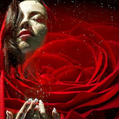 Nu este vina ta că nu ai știut să îți protejezi inima