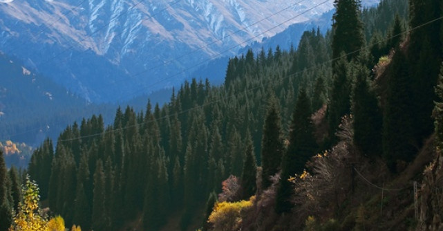  FLORIN CHILIAN - invitat special al evenimentului ArtATRA