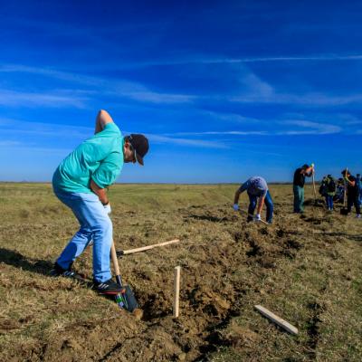 Peste 220 de gospodari români practică agricultură regenerativă la Zimnicea