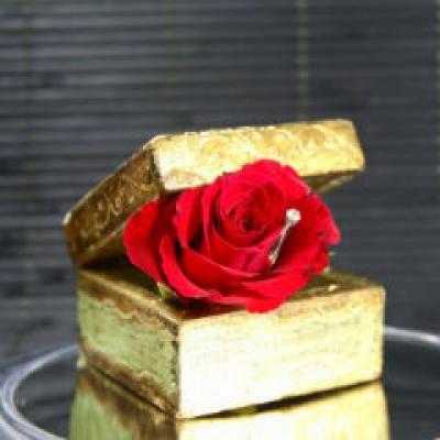 Probabil cea mai spectaculoasa cerere in casatorie din lume