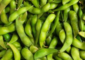 Edamame: beneficii, calorii, rețete și tot ce trebuie să știi despre aceste boabe verzi