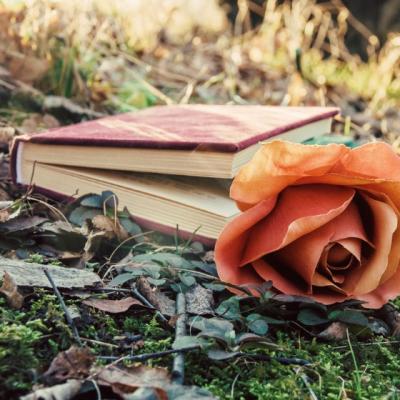 Alfabetul dragostei. Cele mai frumoase citate despre iubire dupa Eckhart Tolle