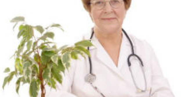 Medicina Holistica - stiinta uimitoare in prevenirea bolilor