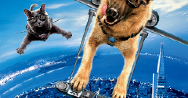 10 filme cu si despre animale foarte enervante