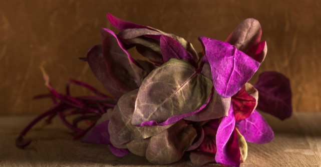 Loboda are de doua ori mai multa vitamina C decat lamaia si spanacul