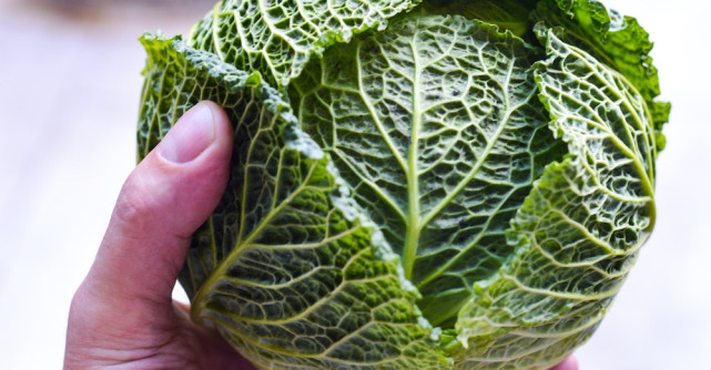 Ții post sau ești vegan? Iată cum poți utiliza un blender pentru a prepara rețete delicioase