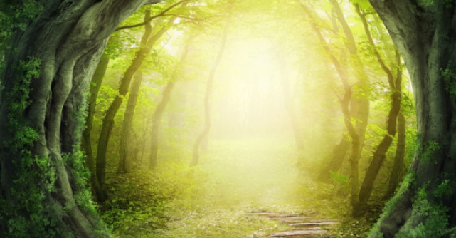 Cele mai puternice 39 de previziuni pentru anul 2014