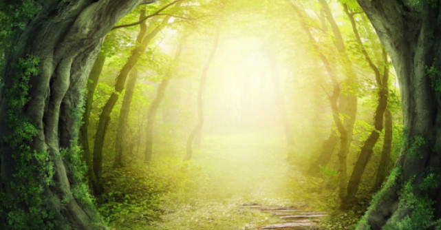 Cele mai puternice 39 de previziuni pentru anul 2014