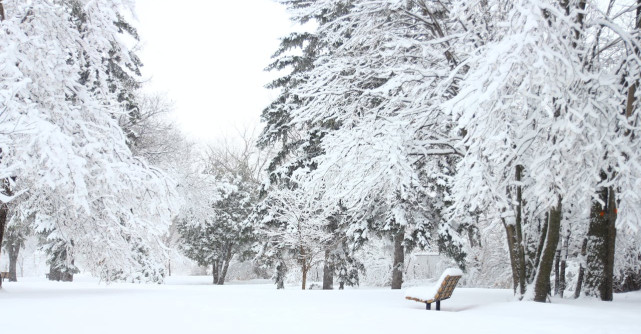 Acuzații și conspirații pe TikTok: Zăpada din București ar fi falsă pentru că...nu ia foc