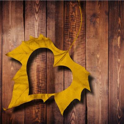 Astrologie: Horoscopul dragostei pentru luna octombrie 2016