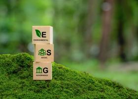 Ce sunt raportările ESG și de ce devin obligatorii pentru companii