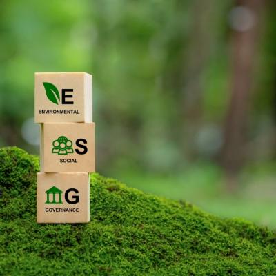 Ce sunt raportările ESG și de ce devin obligatorii pentru companii 