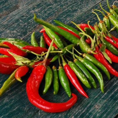 Ardeii iuti, un miracol al naturii. Cum sa-i utilizezi ca medicament