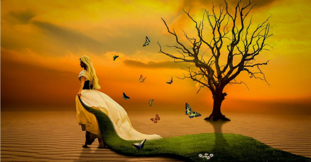 Povestea firului de iarbă, cel mai frumos basm vindecător