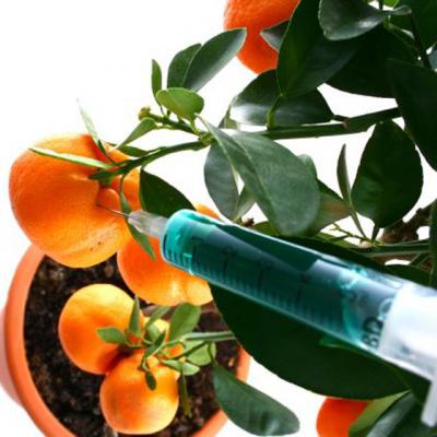 4 Metode pentru a scoate PESTICIDELE din fructe si legume