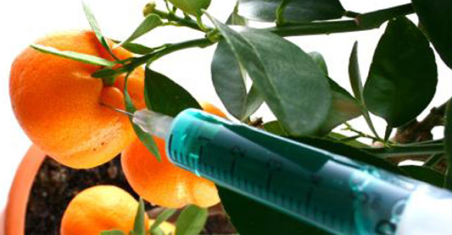 4 Metode pentru a scoate PESTICIDELE din fructe si legume