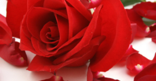 Video: Estelle lanseaza Thank You