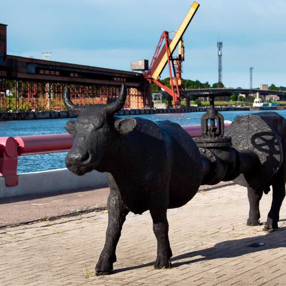 Știați că există o capitală europeană a vacuțelor? Descoperă statutele inedite din orașul Ventspils – GALERIE FOTO