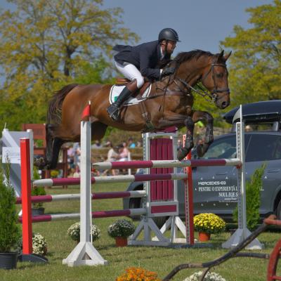 Karpatia Horse Show 2025, un deceniu de echitație pe Domeniul Cantacuzino Florești din Prahova  