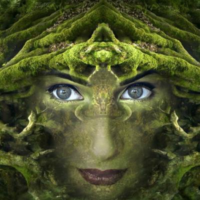 STRĂVECHI și CREȘTERE, cuvintele cheie pentru săptămâna  11 -17 FEBRUARIE 2019