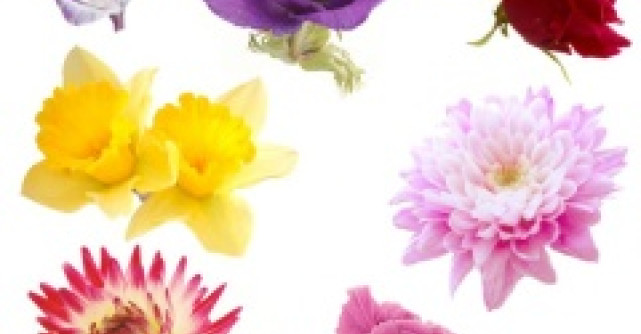 Horoscopul floral pentru toate zodiile