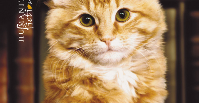 Dewey. Pisoiul din biblioteca  unui mic oras cucereste lumea