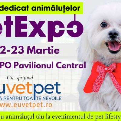 PetExpo 2025: Produse smart, ședințe foto gratuite și concursuri cu premii pentru animalele de companie