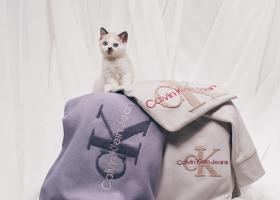 Arta secretă a sărbătorilor de iarnă: Cadouri perfecte și piese vestimentare clasice pentru toți cei dragi