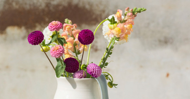 Cum sa aranjezi o masa de toamna