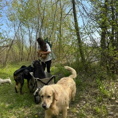 Raluka are grijă de cei 10 câini. Cum arată o după amiază din rutina vedetei, atunci când iese în natură cu prietenii blănoși